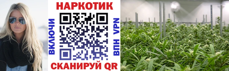  КОКАИН Бирюч