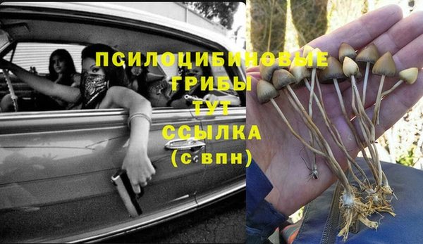 PSILOCYBIN Алзамай