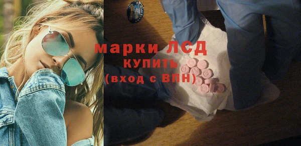 PSILOCYBIN Алзамай