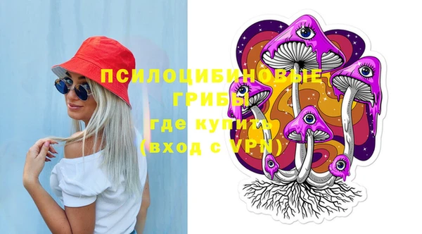 ПСИЛОЦИБИНОВЫЕ ГРИБЫ Алексин