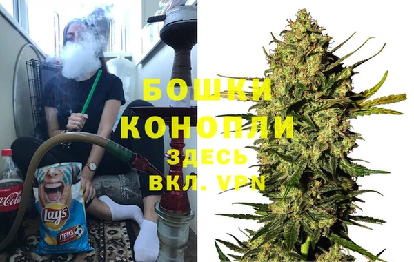 PSILOCYBIN Алзамай