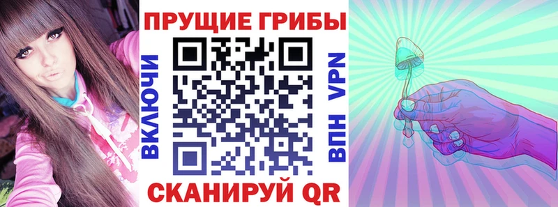 Псилоцибиновые грибы Cubensis  Бирюч 
